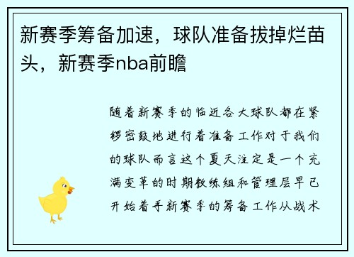 新赛季筹备加速，球队准备拔掉烂苗头，新赛季nba前瞻